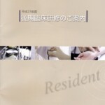 取材・執筆・ディレクションを担当